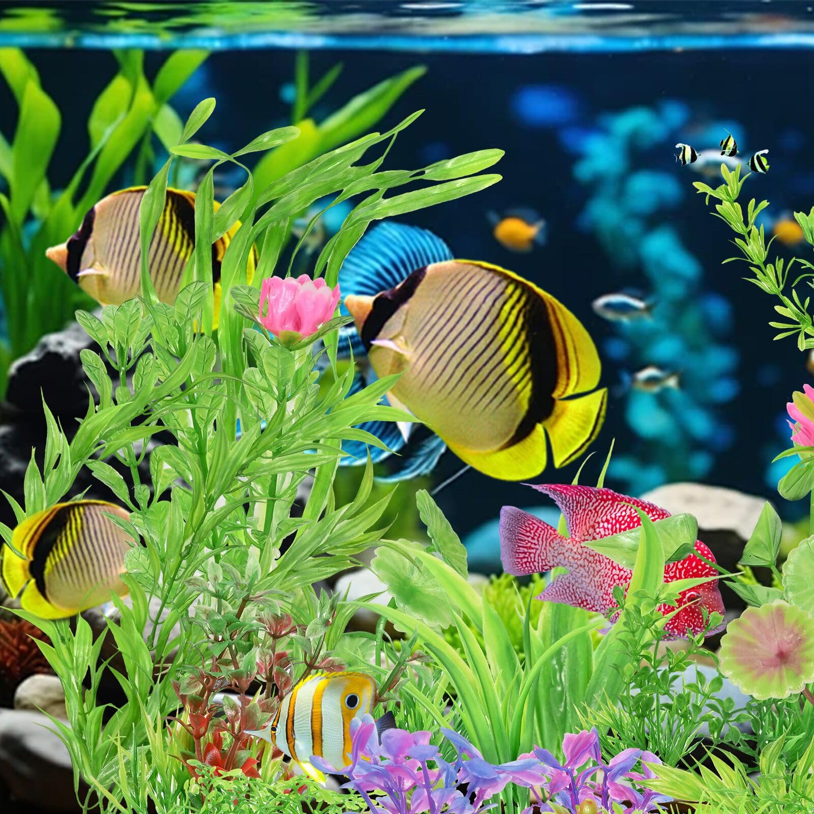 Gupawix aquarium plants varied sizes fit any tank.