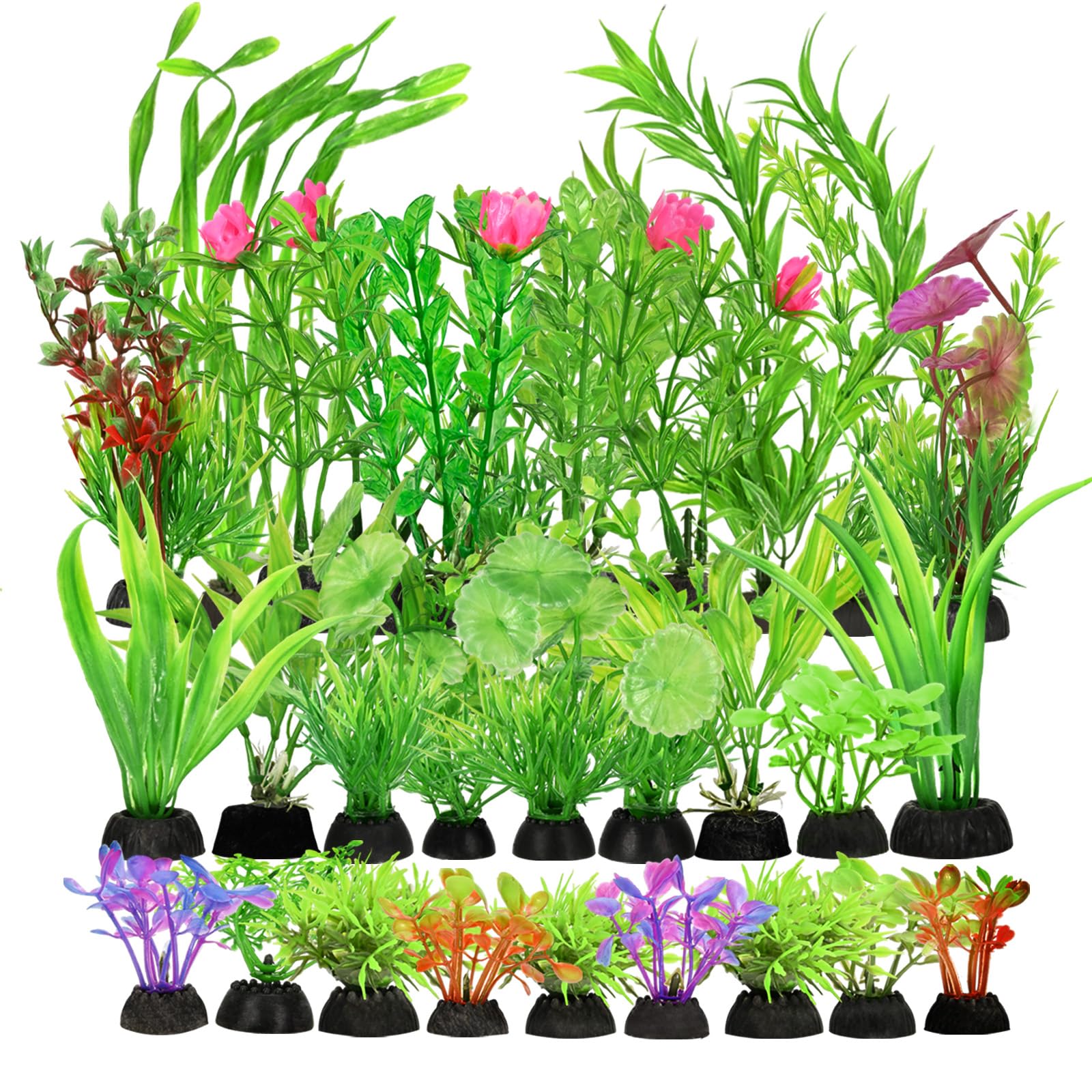 Gupawix aquarium plants variety styles for vibrant tank decor.