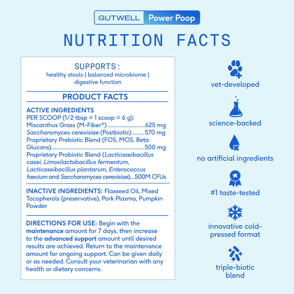 GutWell after-antibiotics support helps reset gut balance with gentle fiber.