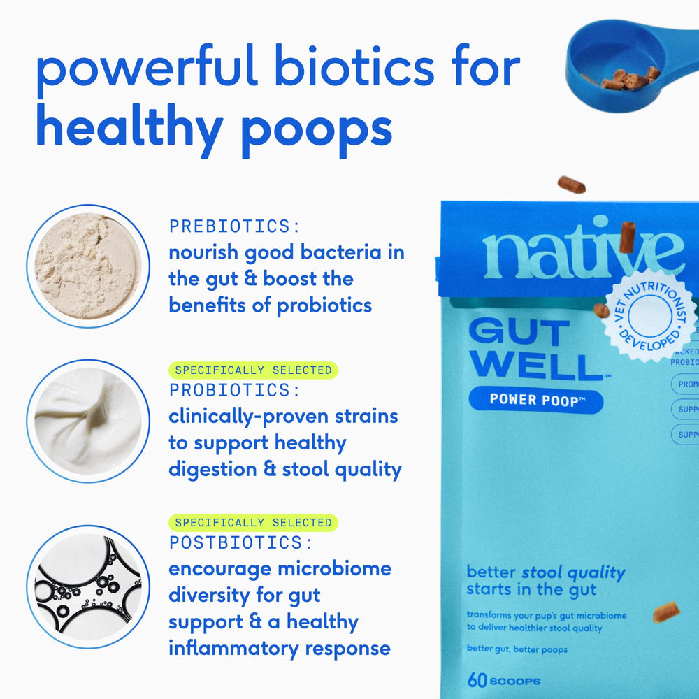 GutWell USA-made ingredients pack premium nutrition in a veterinarian-approved formula.