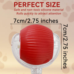 Guyugoey Interactive Ball fast mode demonstrates high-energy chase for playful cats and small dogs.