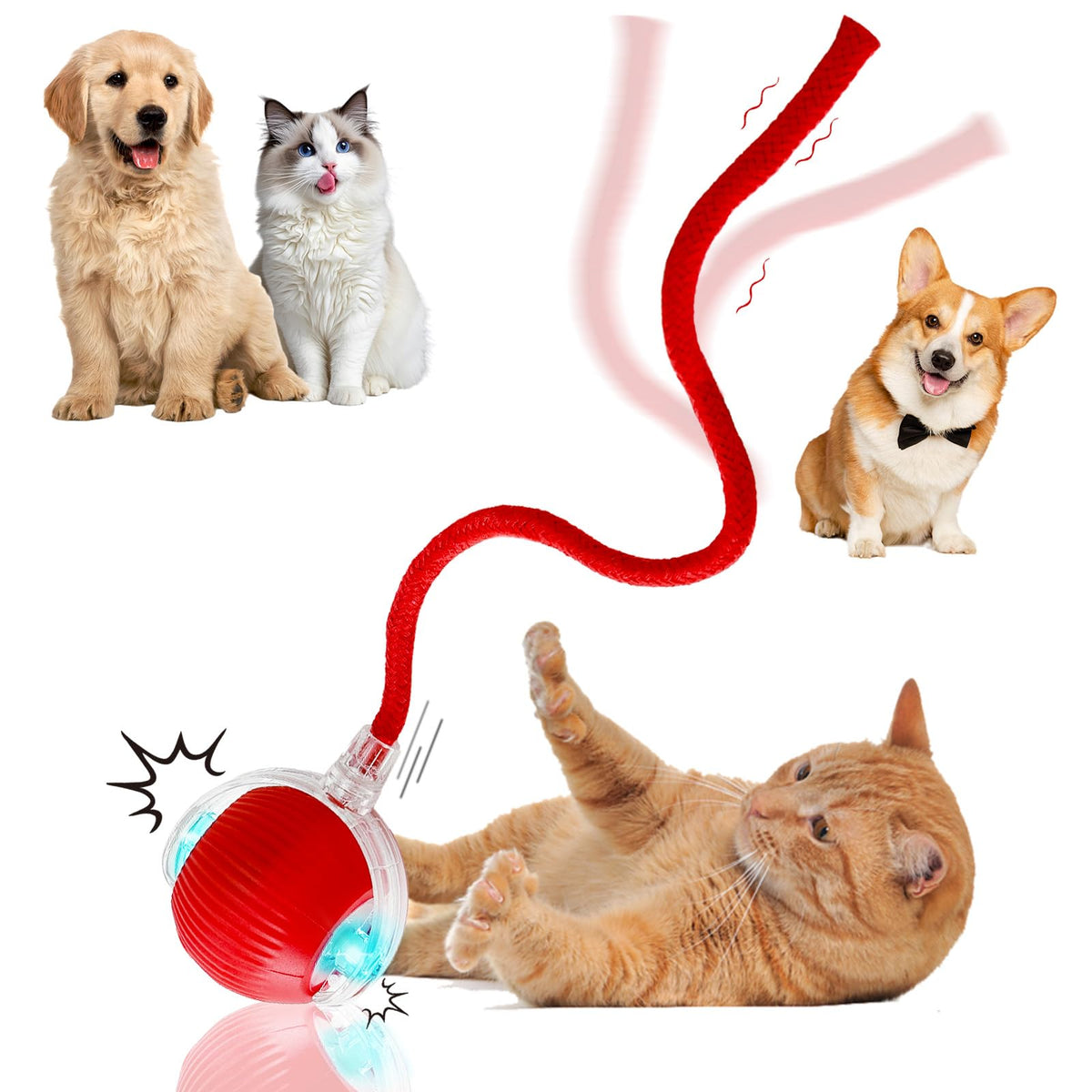 Guyugoey Interactive Ball front view showing autonomous play for engaged indoor cats.