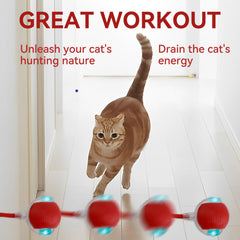Guyugoey Interactive Ball side view demonstrates rolling action that entertains bored pets indoors.