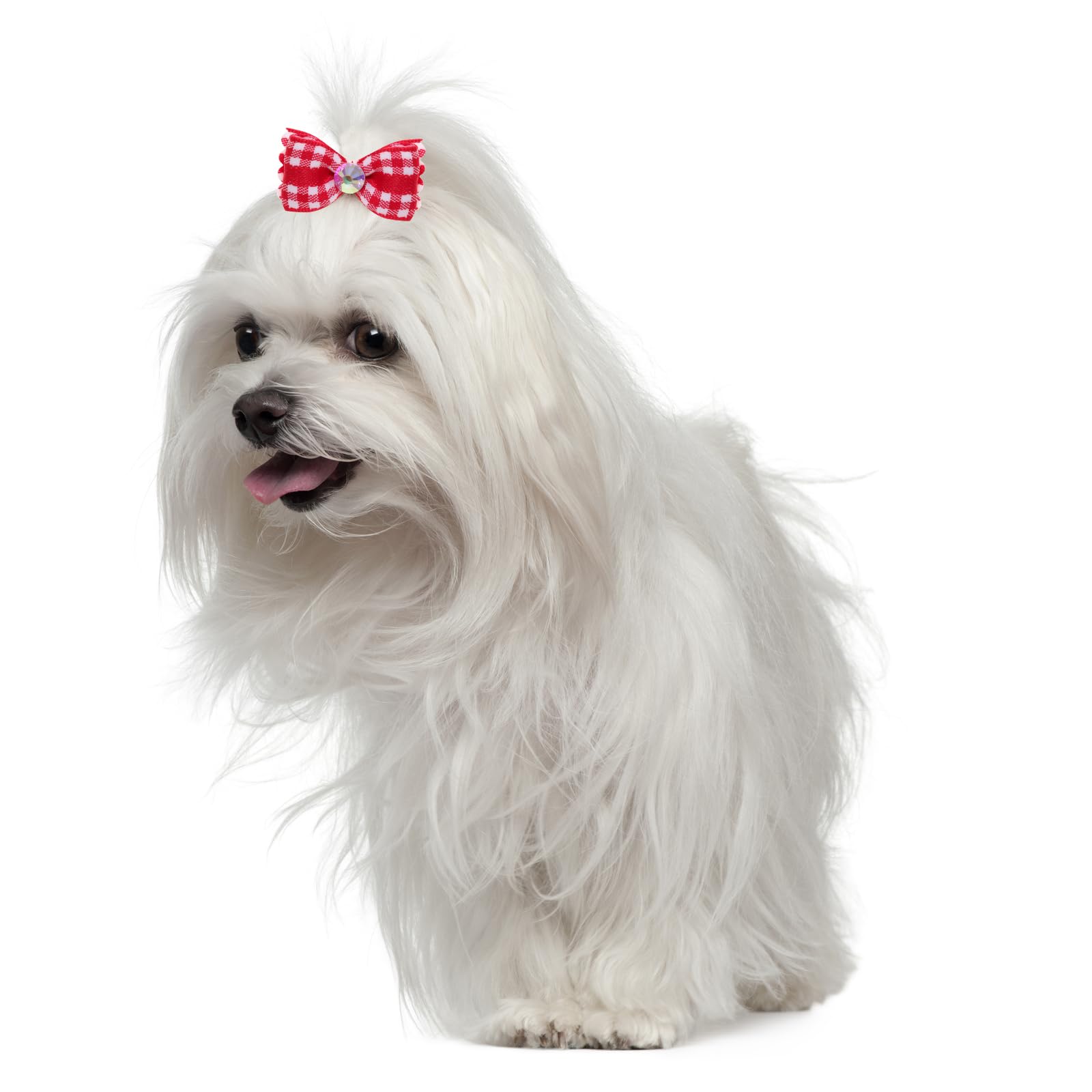 Gvhntk dog bow mixed style set offers versatile outfits for outings.