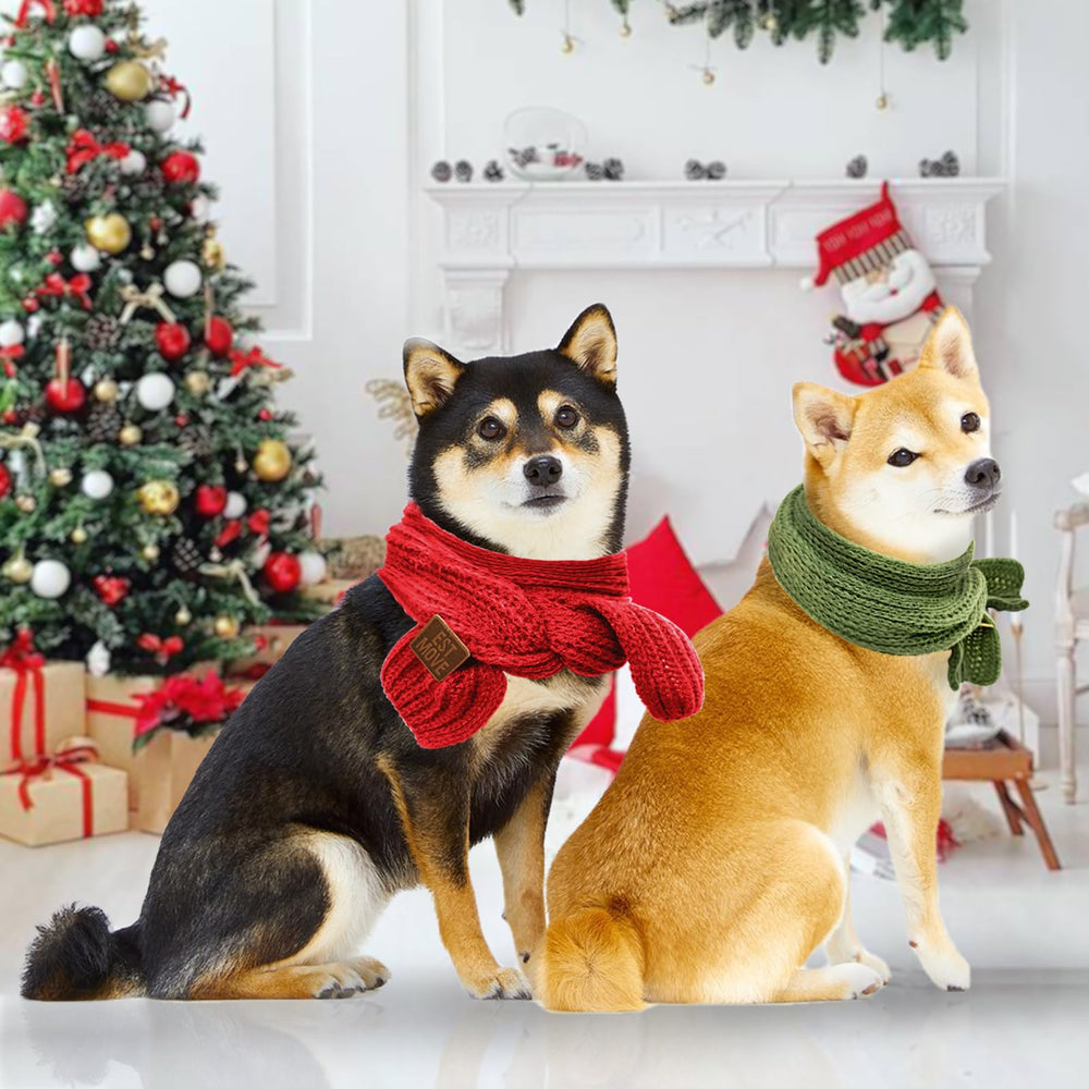 Gvhntk dog wearing scarf demonstrates easy wrap and comfortable fit.