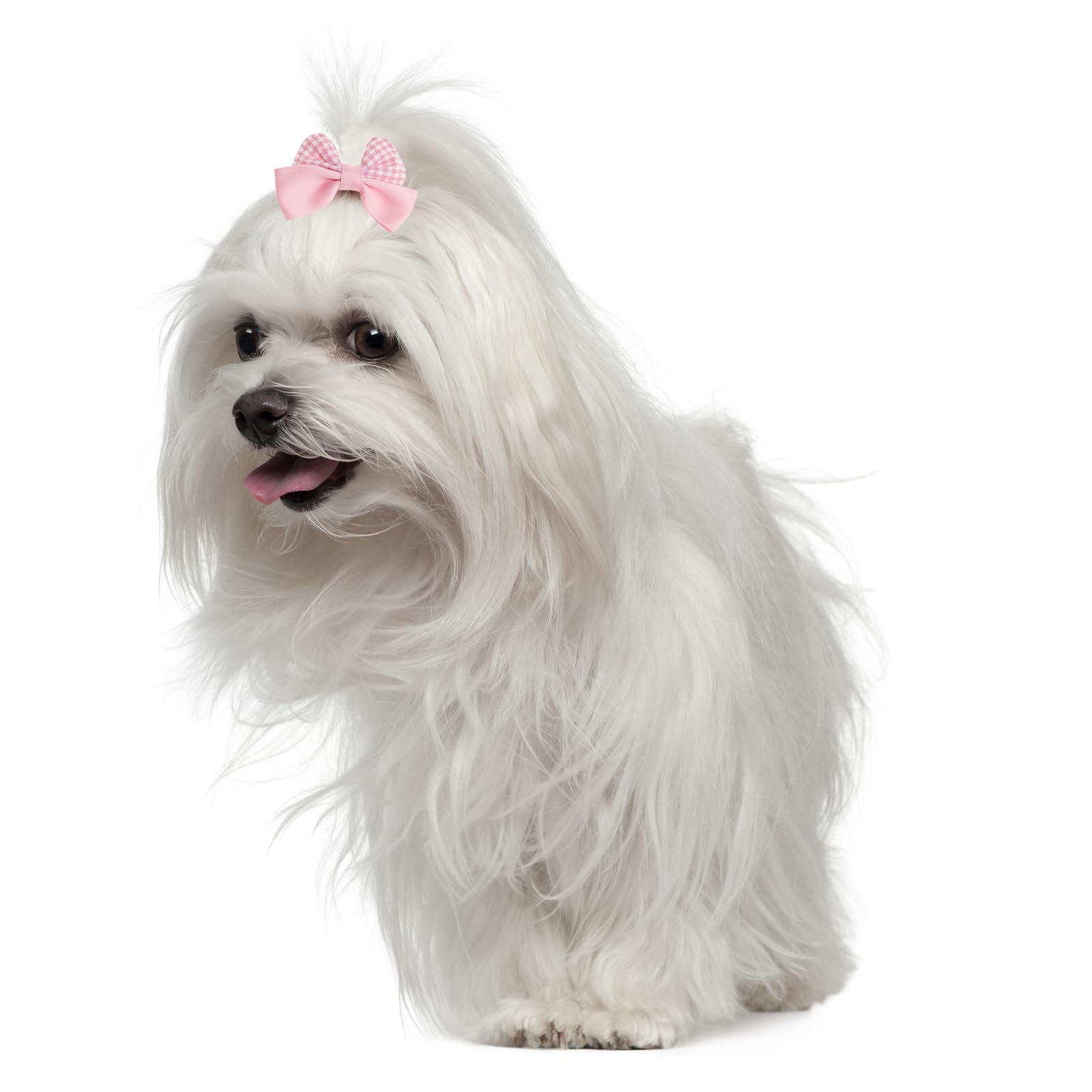 Gvhntk pink bow set is a charming gift for pet lovers and groomers.