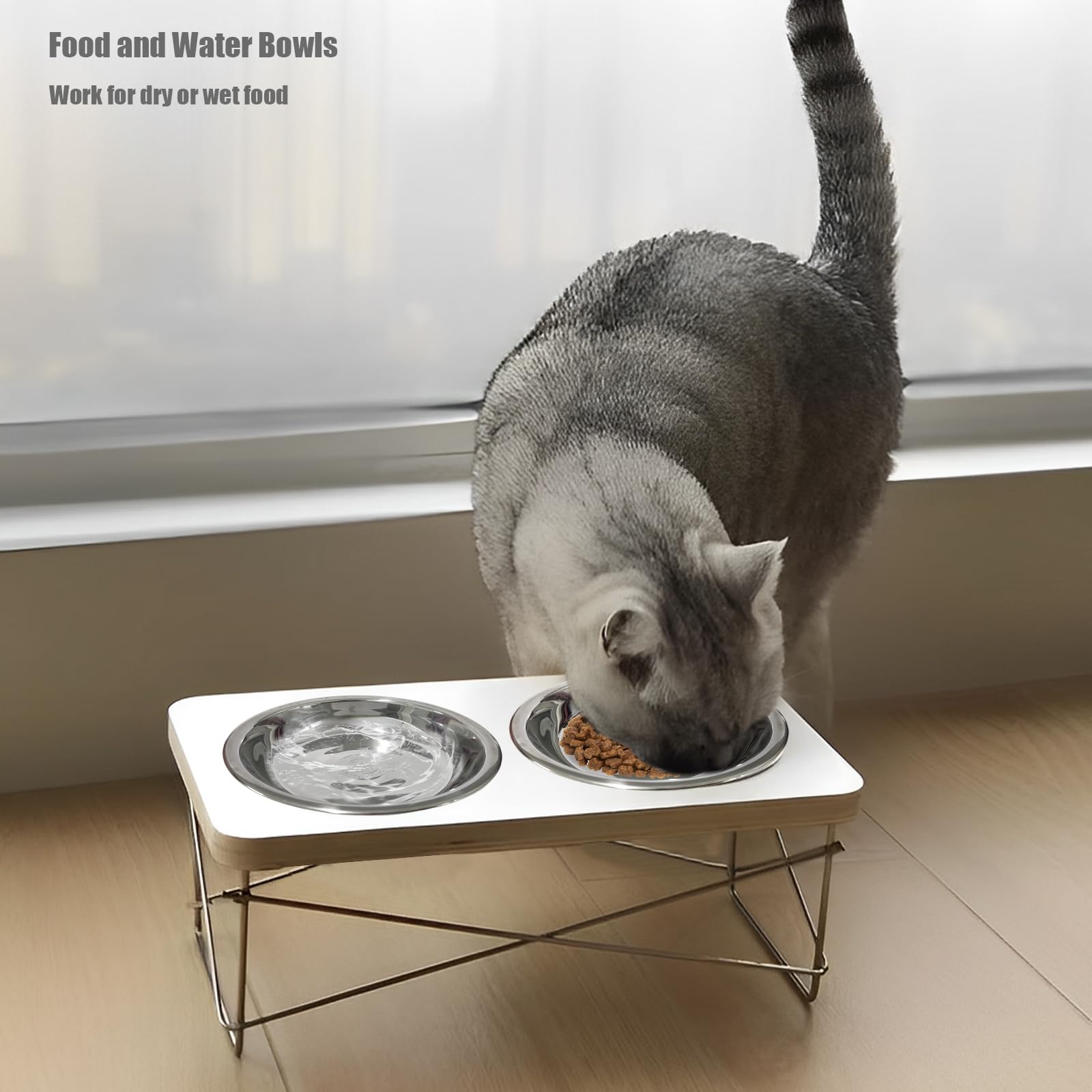 GCVOPTON versatile bowl for water, kibble, or wet food.