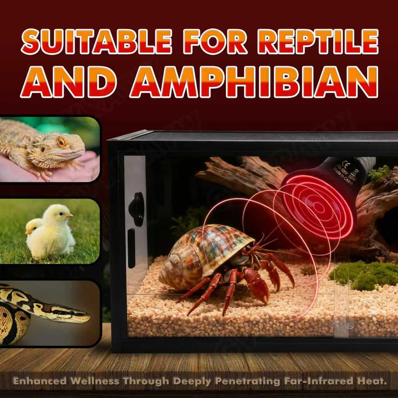GVWRATW 50W ceramic heat emitter two-pack side view shows compact, durable design for safe reptile heating.