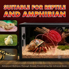 GVWRATW 50W ceramic heat emitter two-pack side view shows compact, durable design for safe reptile heating.