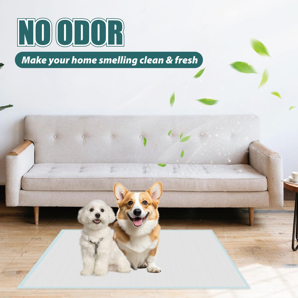 GWT Puppy Pads 50-count pack ready for daily use