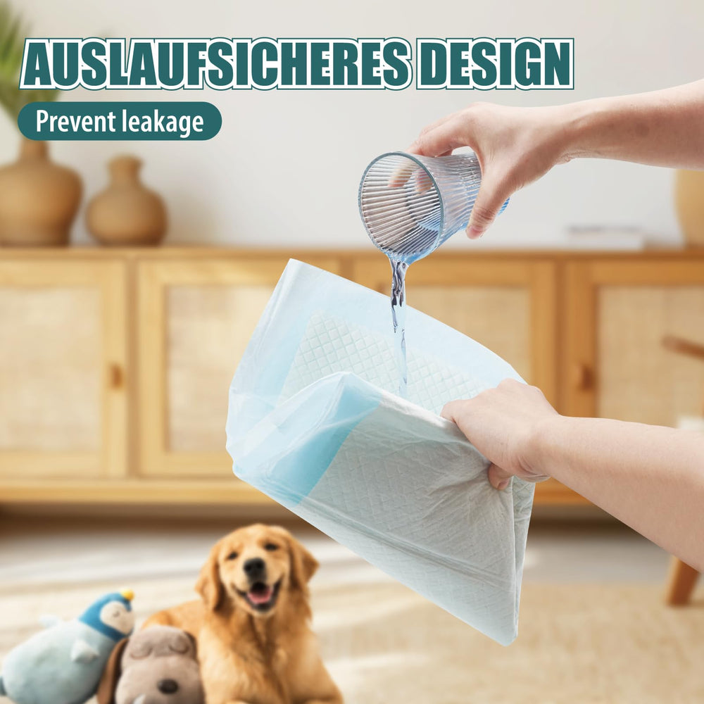 GWT Puppy Pads indoor training setup showing large 22x22 coverage