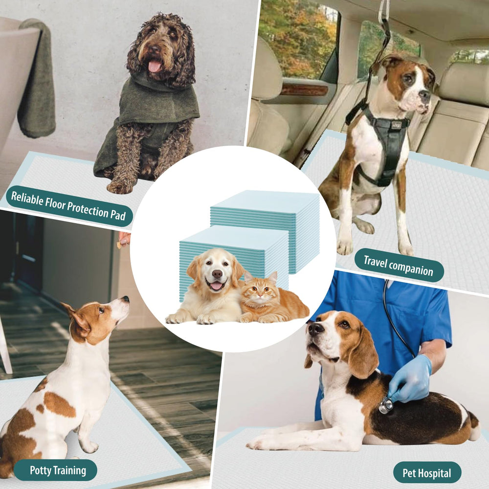 GWT Puppy Pads extra-large 22x22 coverage for home training