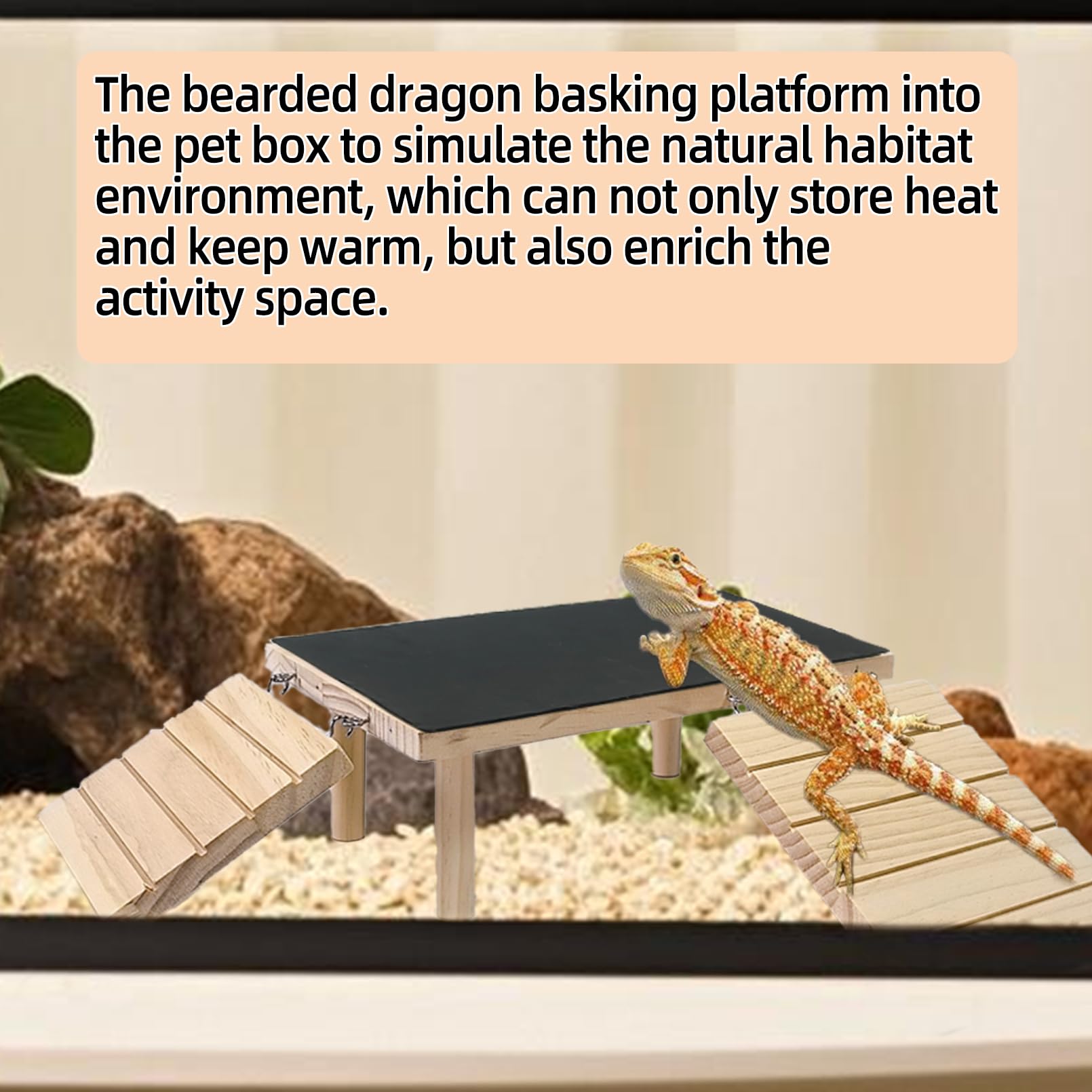 GXSDJ large-size dimensions show compatibility with bigger reptiles.