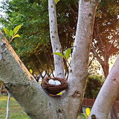GXXMEI nest on tree setup demonstrates seasonal decoration for holidays.