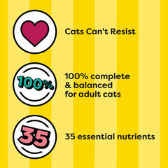 GYCO 35 vitamins minerals amino acids highlighted for balanced daily nutrition.