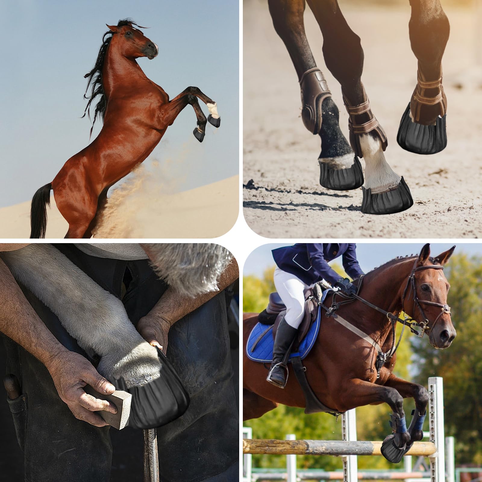 GYHPD wound-management solution supports laminitis and abscess care scenarios.