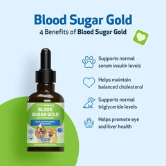 Gymnema leaf—Pet Wellbeing Blood Sugar Gold herbal support.