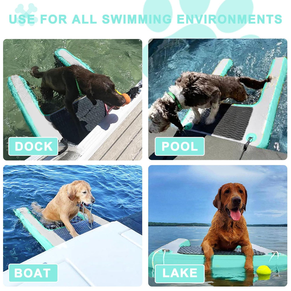 Gymodel dog pool ramp supports large dogs up to 200 lbs for safe water entry.