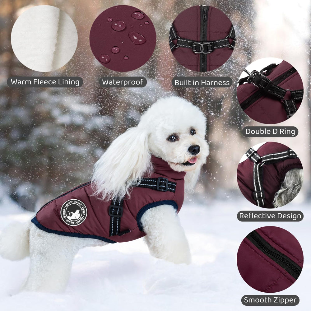 Gyuzh dog coat with harness 3-in-1 design for warmth and security