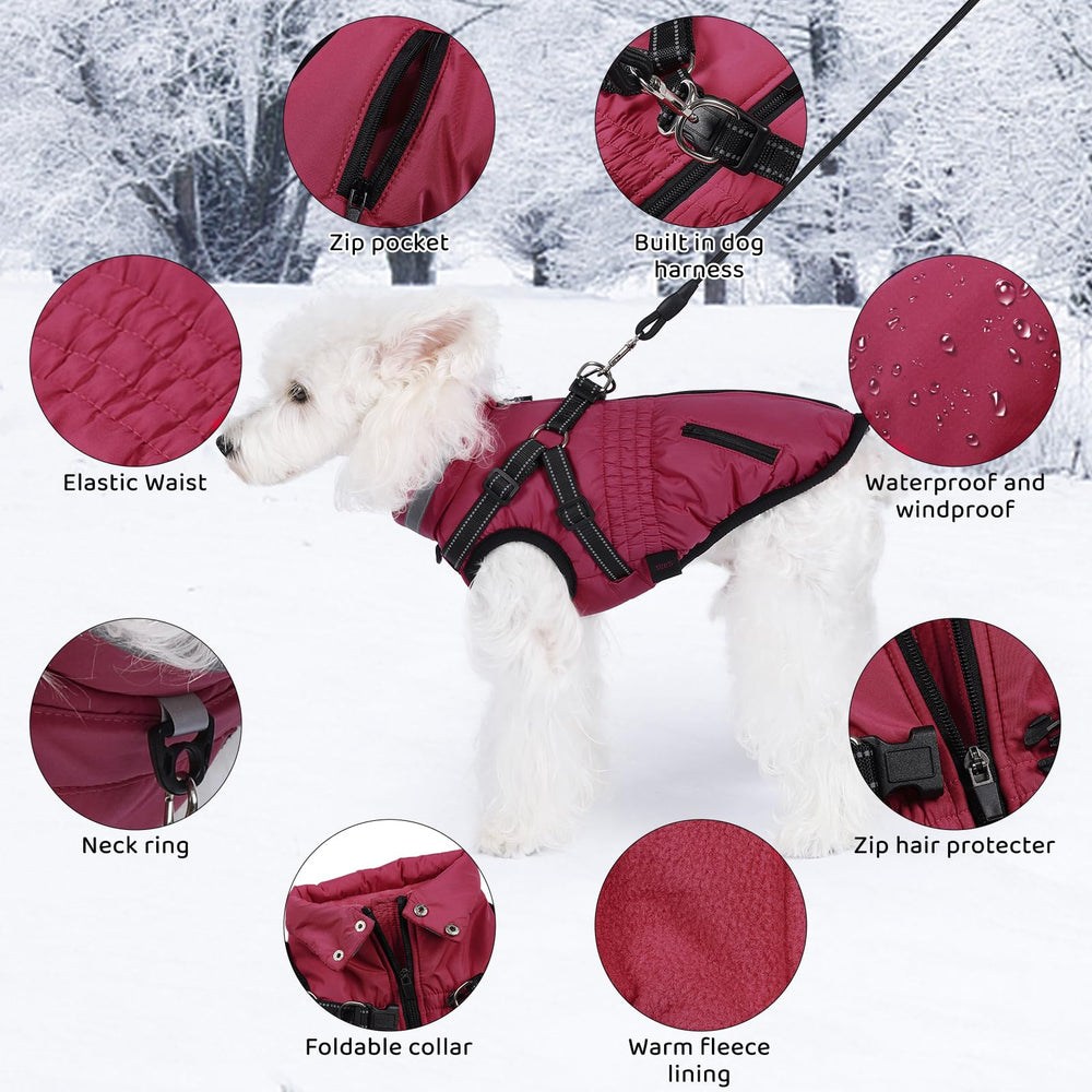 Gyuzh dog coat with harness padded inside provides cozy warmth on cold days.