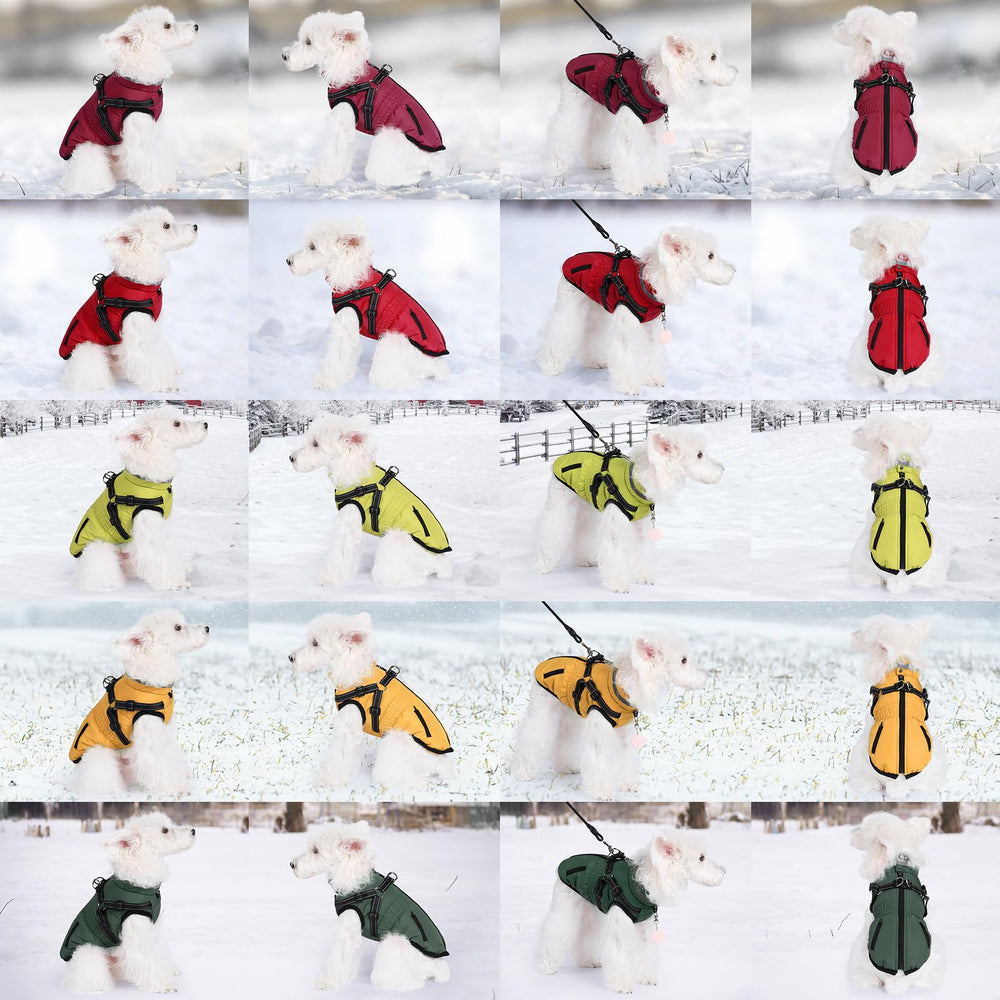 Gyuzh dog coat harness thick padding provides cozy warmth on cold days