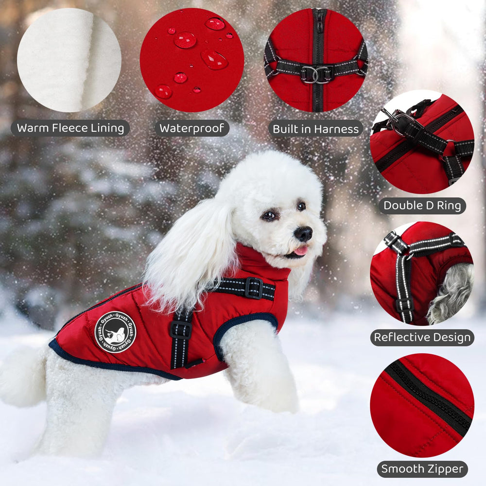 Gyuzh dog coat with harness; warm fleece inner for chilly days.
