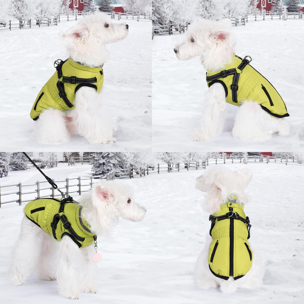 Gyuzh dog coat harness waterproof material keeps pets dry during walks