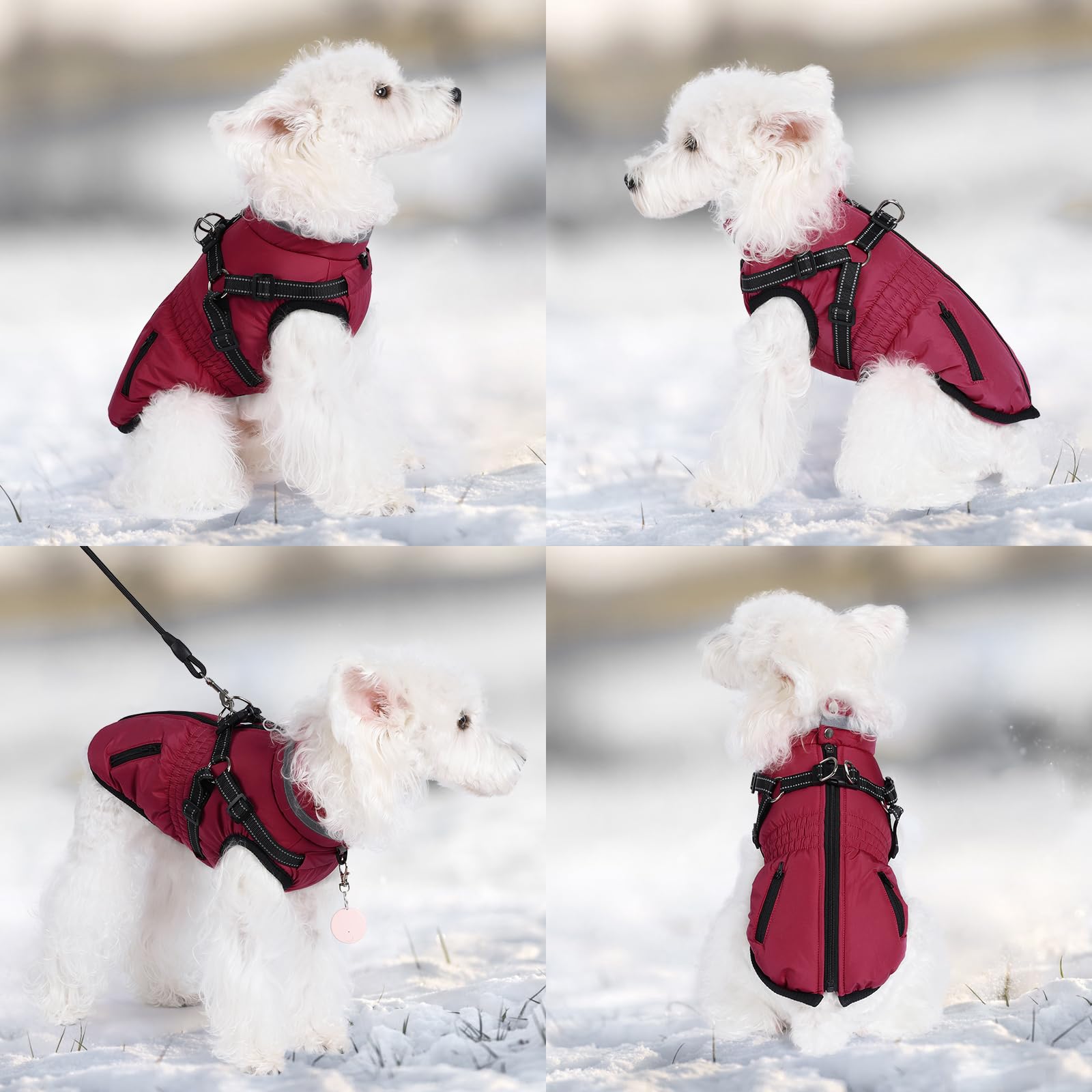 Gyuzh dog coat with harness zip-back opening makes dressing easy.