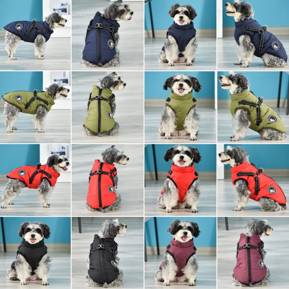 Gyuzh dog coat rain and snow ready for winter adventures