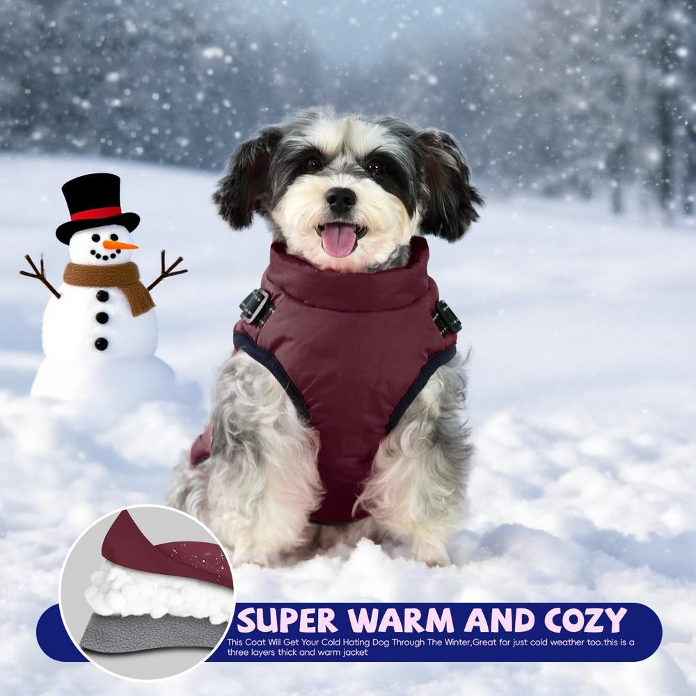 Gyuzh dog coat size guide helps you choose the right fit