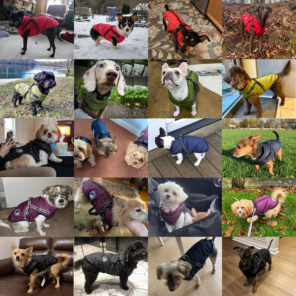 Gyuzh dog coat warm fleece inner provides cozy warmth