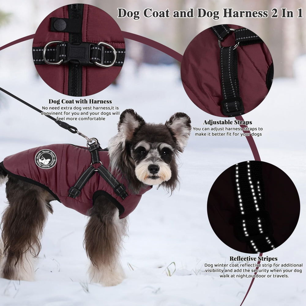 Gyuzh dog coat with zipper closure for easy on and off