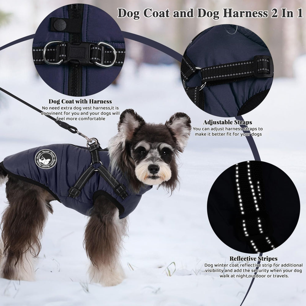 Gyuzh dog harness with reflective strap improves evening visibility.