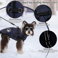 Gyuzh dog harness with reflective strap improves evening visibility.