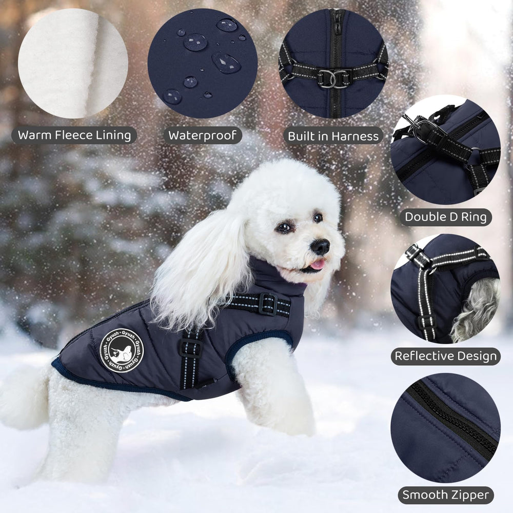 Gyuzh dog jacket with zipper easy-on-off design for quick dressing.