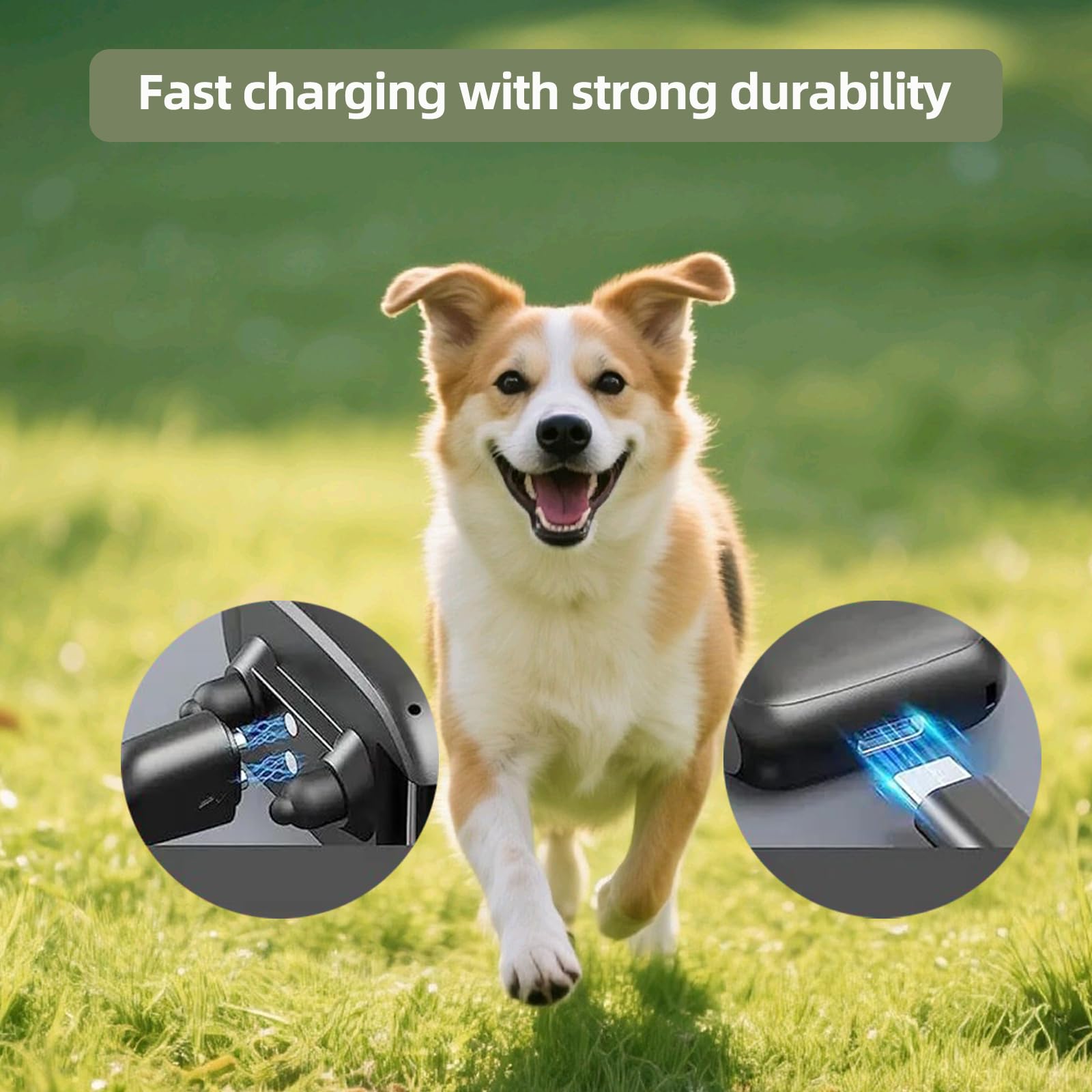 GZLT dog charger mounted on collar and remote for charging.