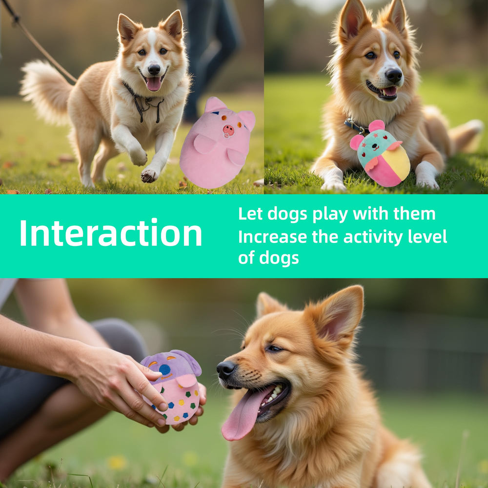 GZQKUSO small-dog playtime set in action.