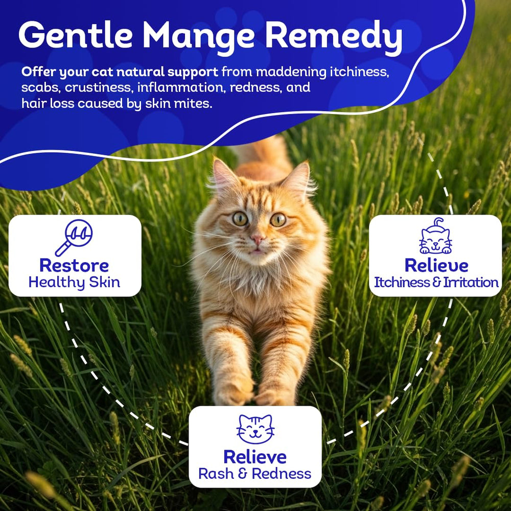 HealthyAnimals4Ever HA4E mange-symptoms relief on skin illustration highlights demodectic mange signs.