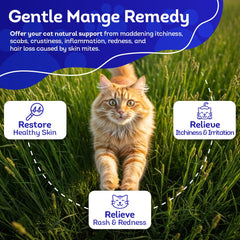 HealthyAnimals4Ever HA4E mange-symptoms relief on skin illustration highlights demodectic mange signs.