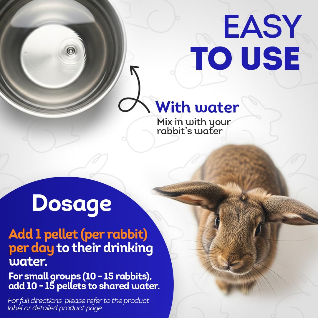 HealthyAnimals4Ever HA4E natural infection-control approach supports preventive rabbit health