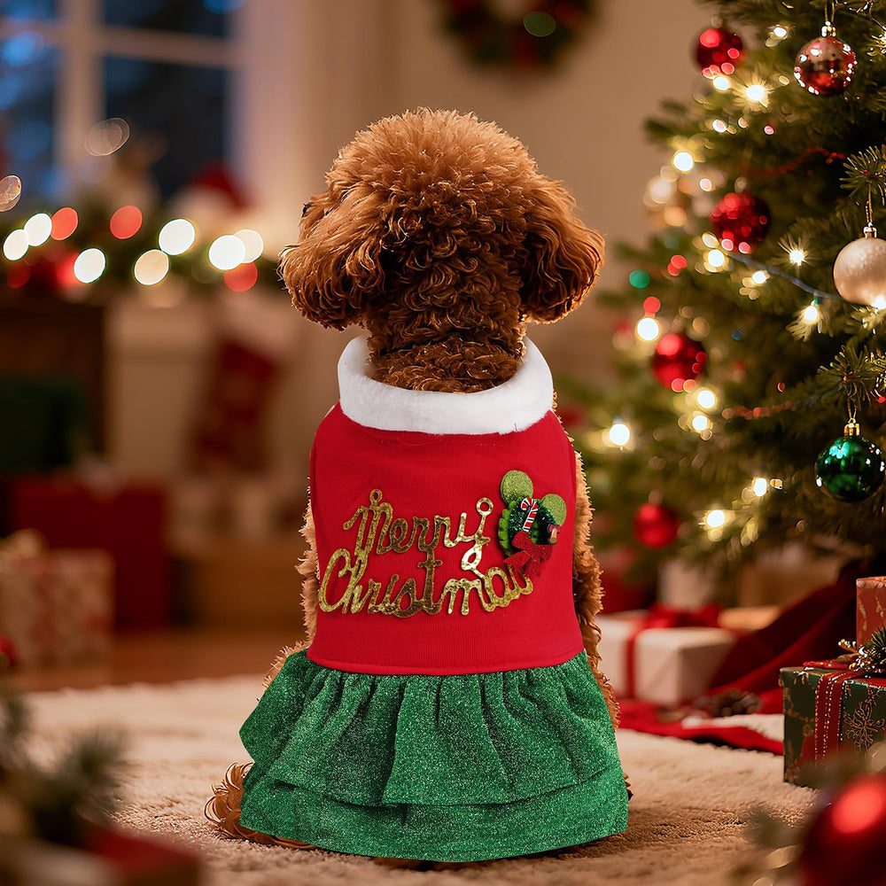 Haakong Dog Christmas Outfit holiday photoshoot ready for festive memories.
