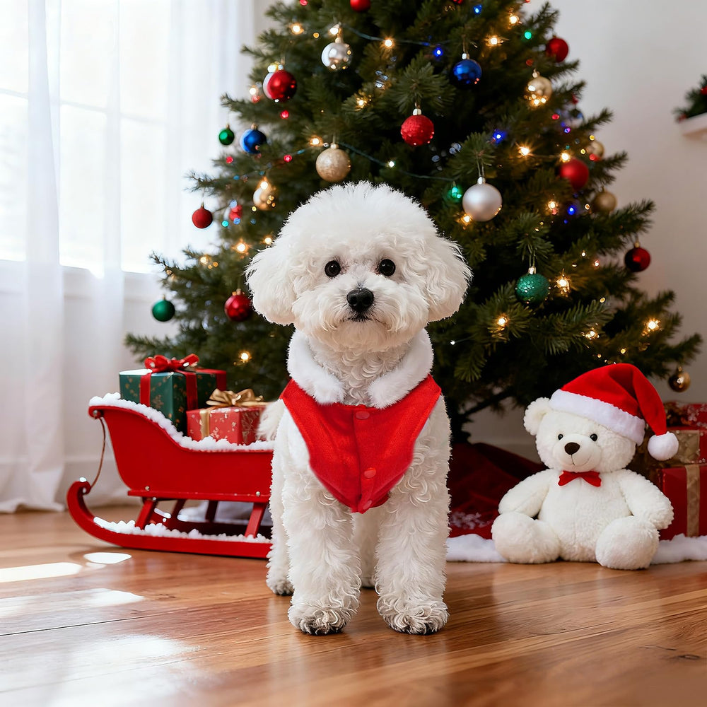 Haakong Dog Christmas Outfit packaging included with simple care notes.