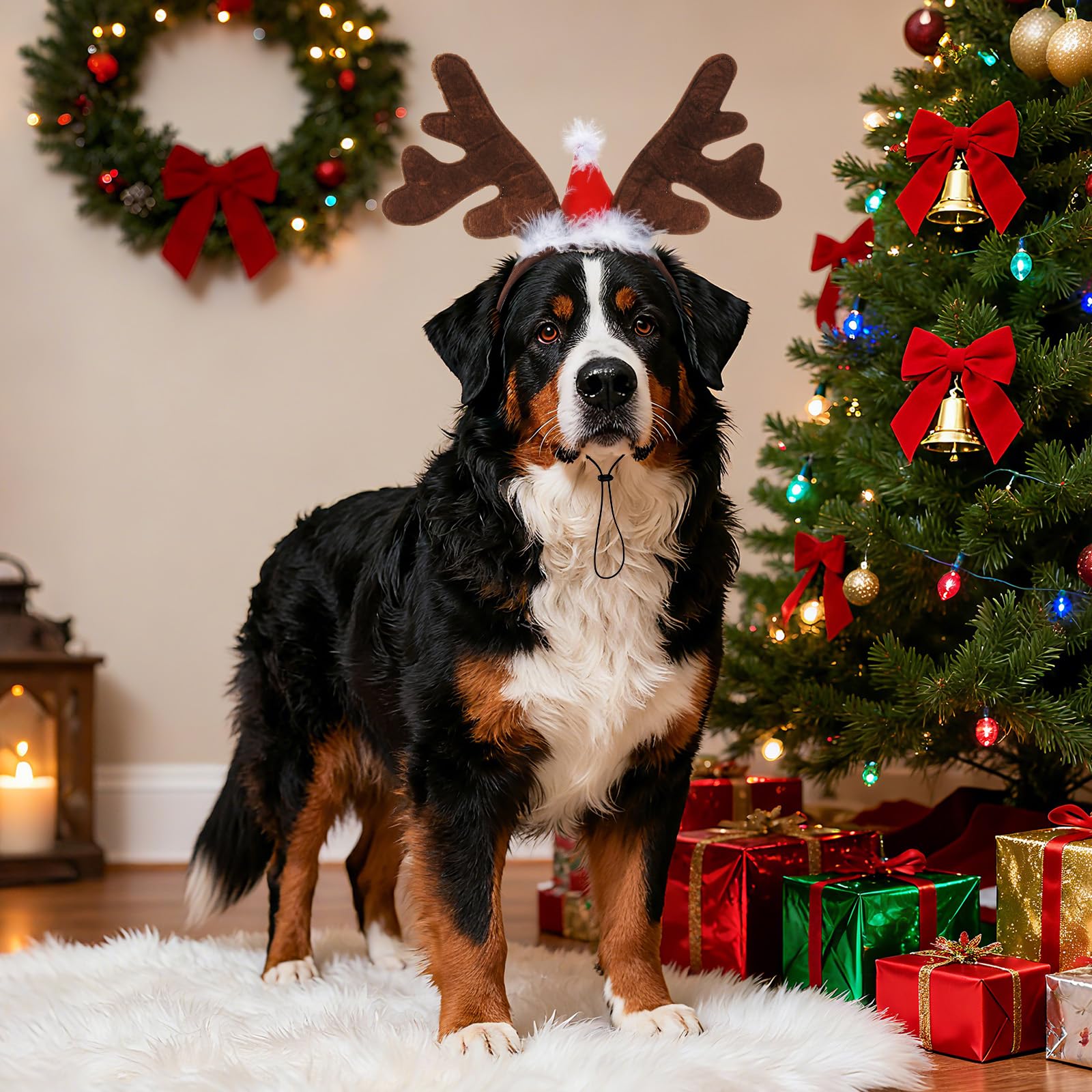 Haakong dog headband is easy to wear and remove for quick outfit changes.