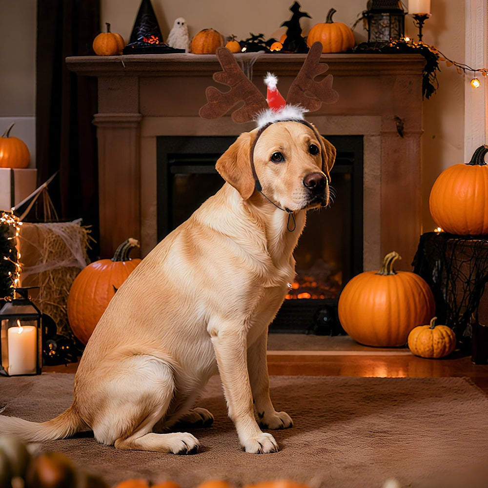 Haakong holiday headband creates a festive look during Christmas parties and pet celebrations.