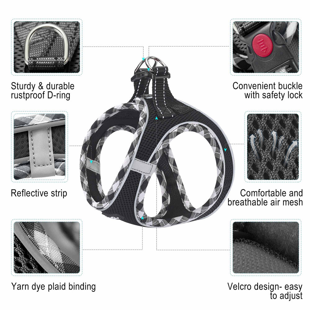 haapaw air mesh harness demonstrates breathable, lightweight comfort for daily outings.