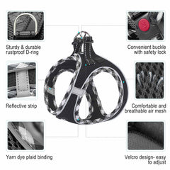 haapaw air mesh harness demonstrates breathable, lightweight comfort for daily outings.