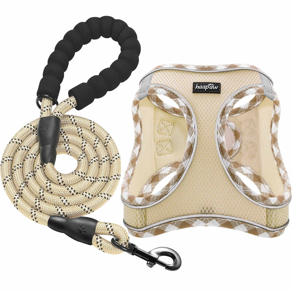 haapaw dog harness with leash set showcasing step-in design for easy on-off