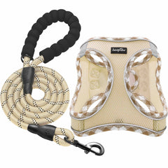 haapaw dog harness with leash set showcasing step-in design for easy on-off