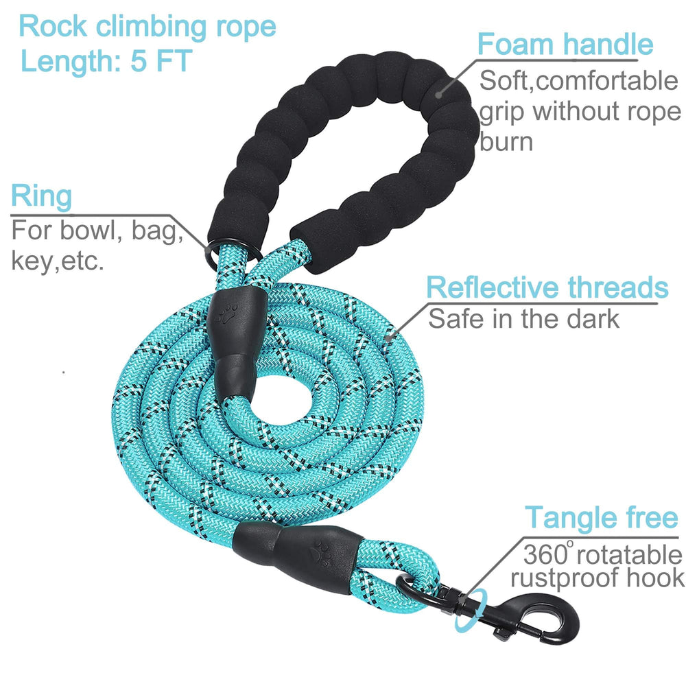 haapaw durable nylon dog collar with heavy-duty hardware for long-lasting training.