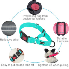 haapaw martingale collar reflective piping for safer night walks.